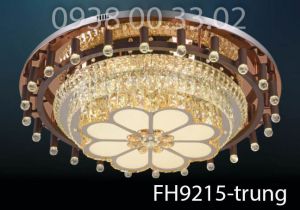 Đèn áp trần trang trí cổ điển FH9215-trung